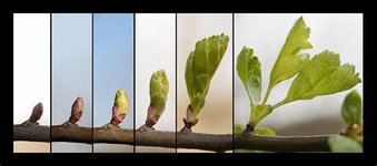 IMG_7426.jpeg