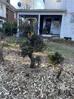 IMG_7464.jpeg