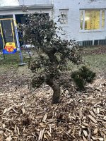 IMG_7473.jpeg