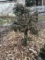 IMG_7475.jpeg