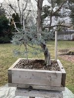 IMG_1878.jpeg