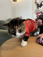 IMG_1451.jpeg