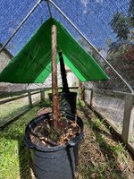 IMG_8633.jpeg