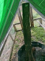 IMG_8636.jpeg
