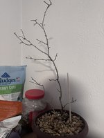 IMG_9502.jpeg