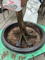 IMG_0316.jpeg