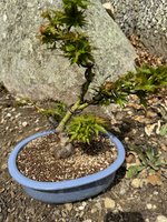 IMG_8827.JPG