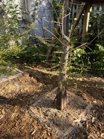 IMG_7694.jpeg