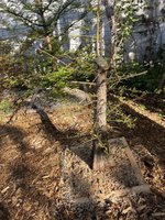 IMG_7695.jpeg