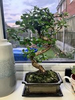 IMG_2329.jpeg