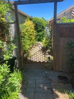 bonsai gate 2024 2.jpg