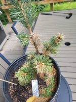 20240614_100809.jpg