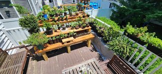 20240615_120535.jpg