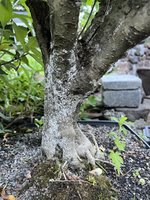 IMG_0894.jpeg
