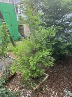 IMG_7782.jpeg