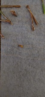 20240630_093758.jpg