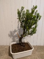 PXL_20240711_204718438.jpg