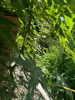 IMG_7891.jpeg