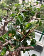 IMG_5105.jpeg