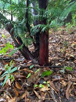 IMG_1571.JPG