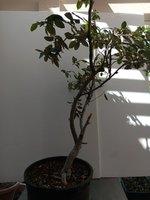 20240731_105300.jpg