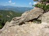 DSC00158.jpg