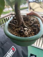IMG_9430.jpeg