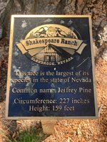 IMG_3284.jpeg