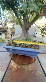 IMG_5349.jpeg