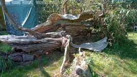 IMG_20240823_143033.jpg