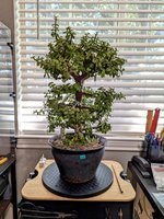 PXL_20240827_201746376~2.jpg