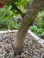 IMG_8141.jpeg