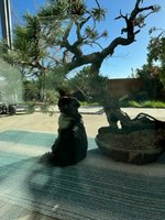 IMG_3353.jpeg
