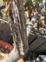 IMG_3622.jpeg
