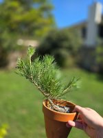20241003_120806.jpg
