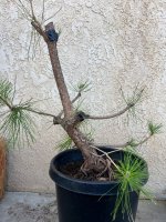 IMG_8107.jpeg