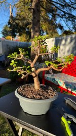 IMG_3724.jpeg