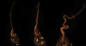 Adobe_Express_20230223_1440080_1.png