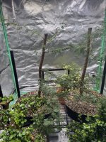 IMG_8313.jpeg