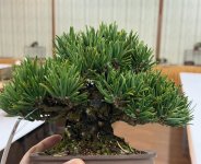 IMG_0537.jpeg