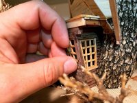 Treehouse window detail.jpg