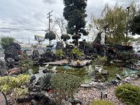 IMG_7281.jpeg