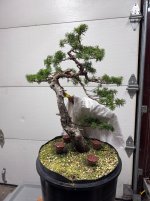 IMG_4834.jpeg