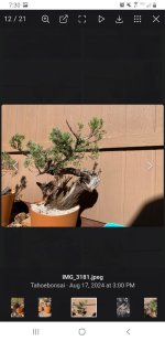 Screenshot_20250221-193009_Chrome.jpg