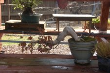 DSC_0076.JPG