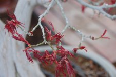 DSC_0057.JPG