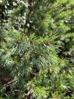 IMG_4927.jpeg