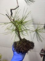 IMG_5453.jpeg
