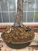 IMG_3625.jpeg