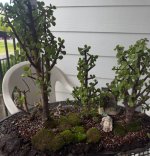 IMG_6852.jpeg